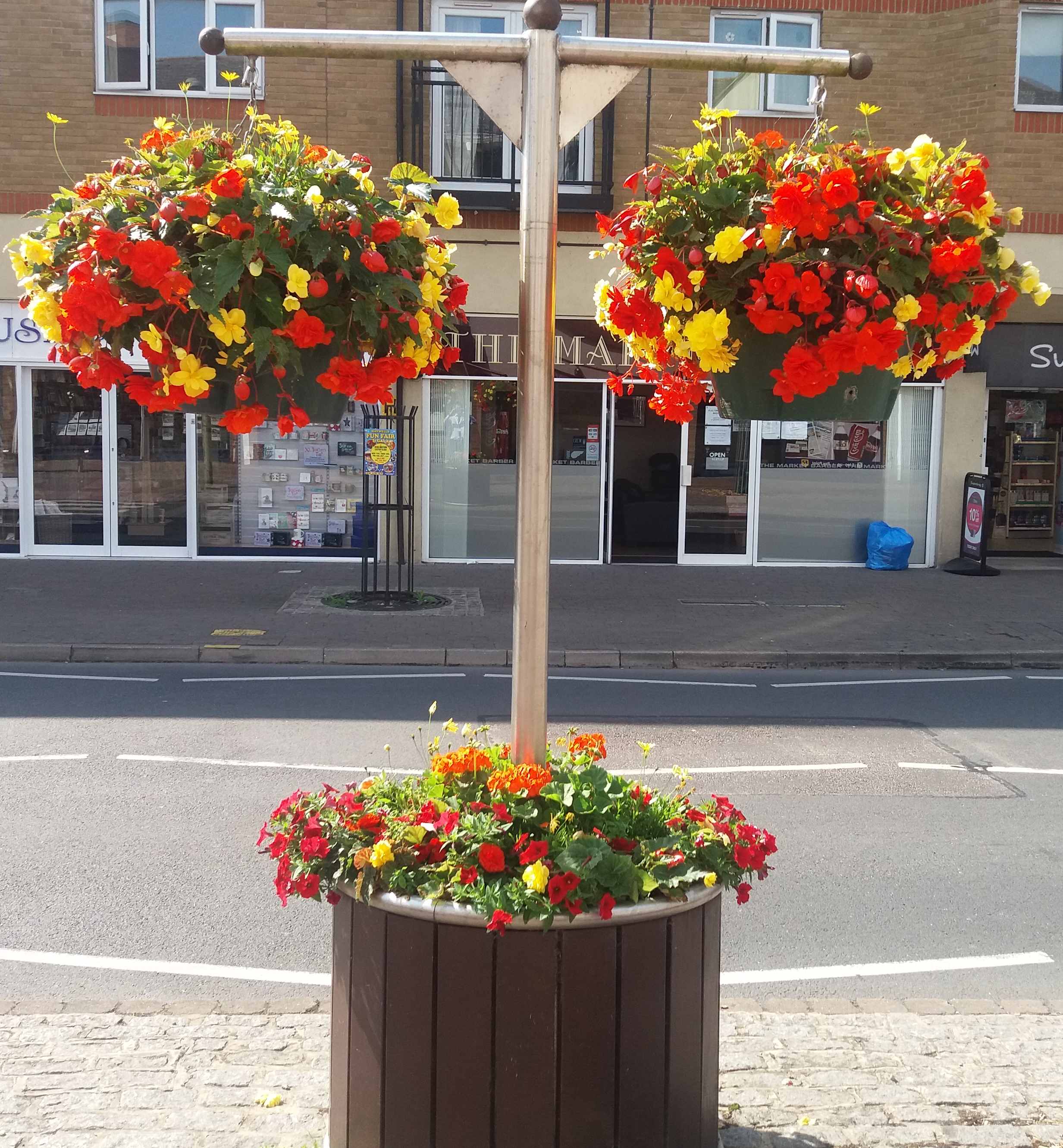 yellow and red flowers